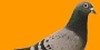 Bildquelle: