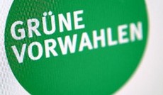  Screenshot gruenevorwahlen.at; ORF.at, Logo 