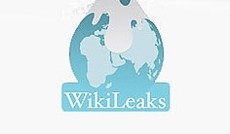  Wikileaks, Wikileaks