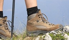  Fotolia/Niceshot , Wanderschuhe auf Bergwiese